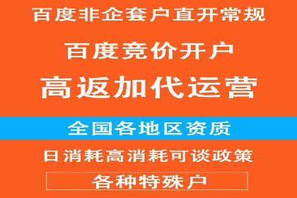 百度竞价推广：从投放策略到效果评估的全过程